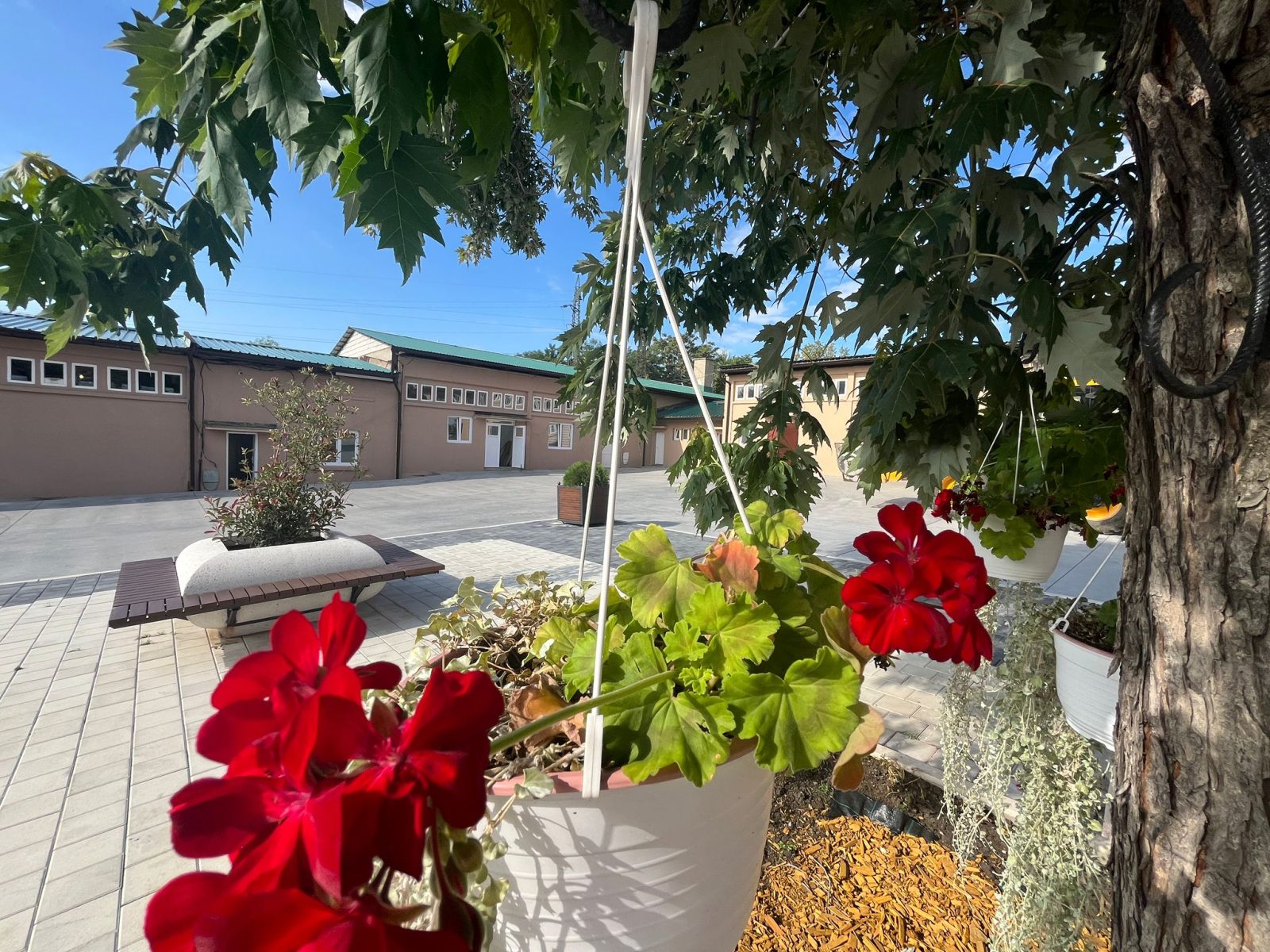 IMG-20250825-WA0049-1